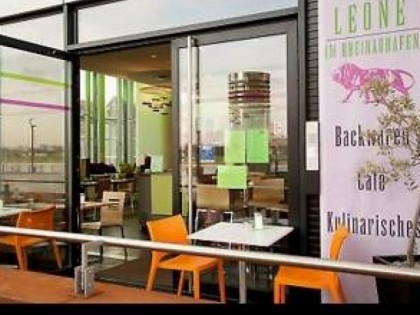 Foto: Leone im Rheinauhafen