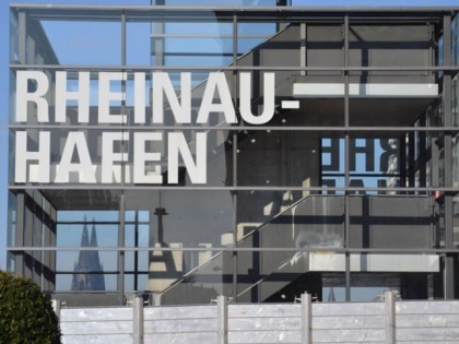 Foto: Leone im Rheinauhafen